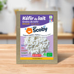 Grains de kéfir de lait BIO