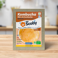 Mère de kombucha BIO