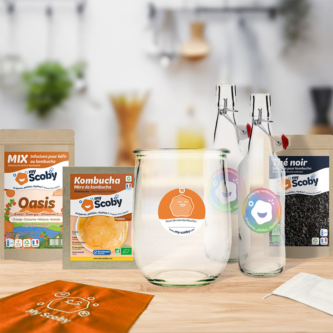 Kit complet débutant kombucha